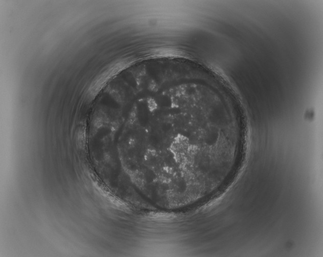 X0000111050825200907091631