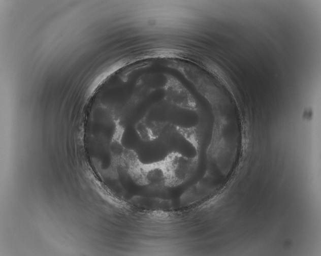 X0000111050827200907091631