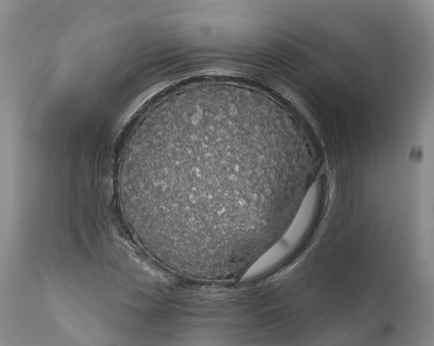 X0000111050829200907091631