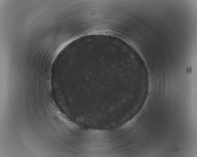 X0000111050830200907091631