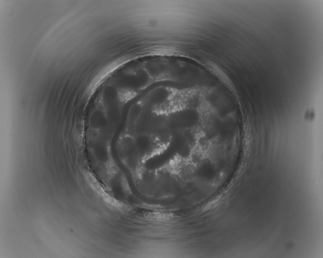 X0000111050831200907091631