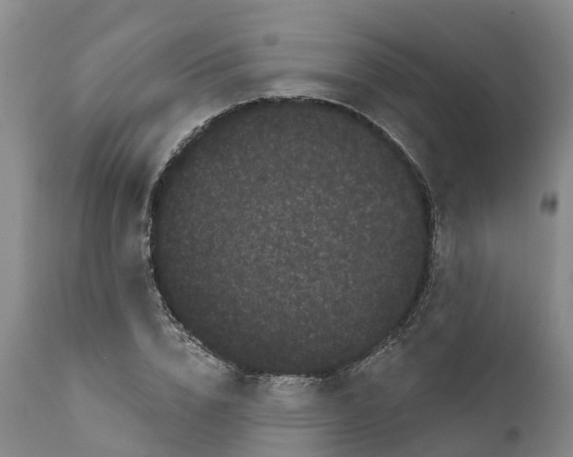 X0000111050832200907091631