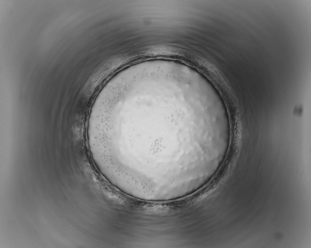 X0000111050833200907091631