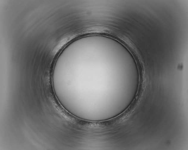 X0000111050834200907091631