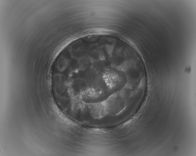 X0000111050835200907091631