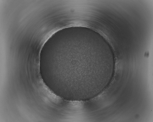 X0000111050836200907091631