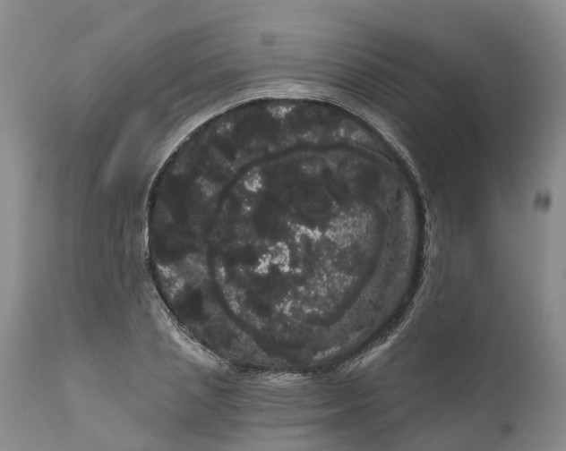 X0000111050837200907091632