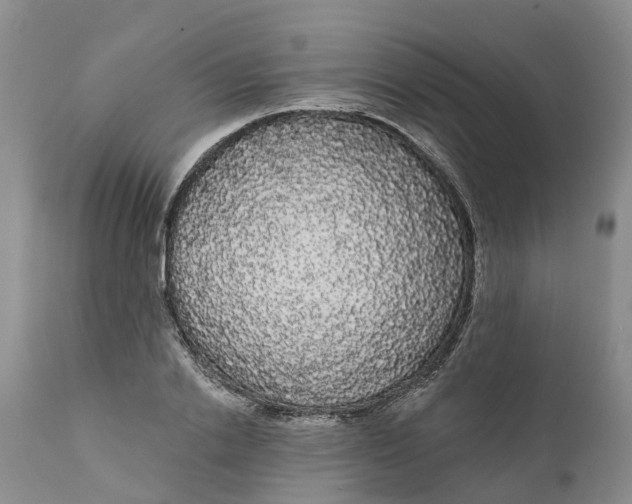 X0000111050838200907091632