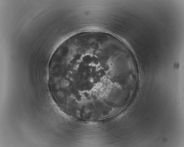 X0000111050839200907091632