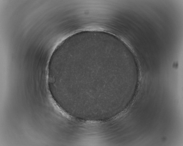 X0000111050840200907091632