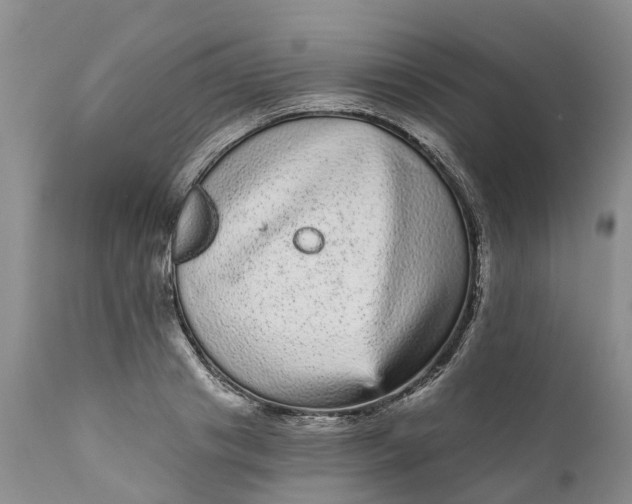 X0000111050841200907091632