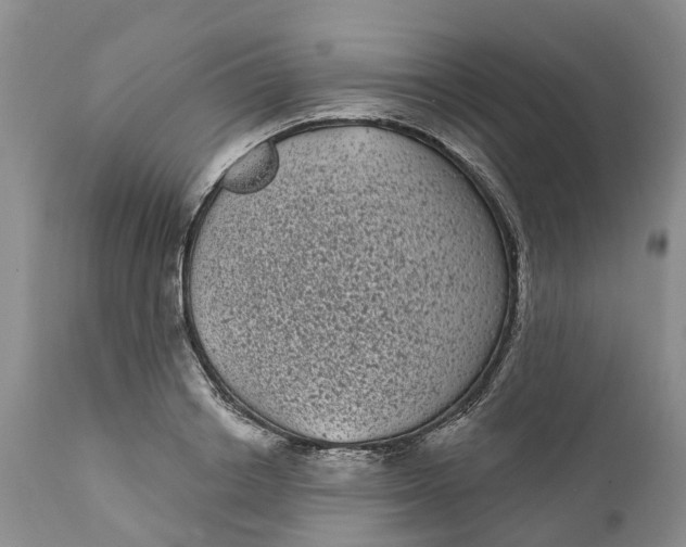 X0000111050842200907091632