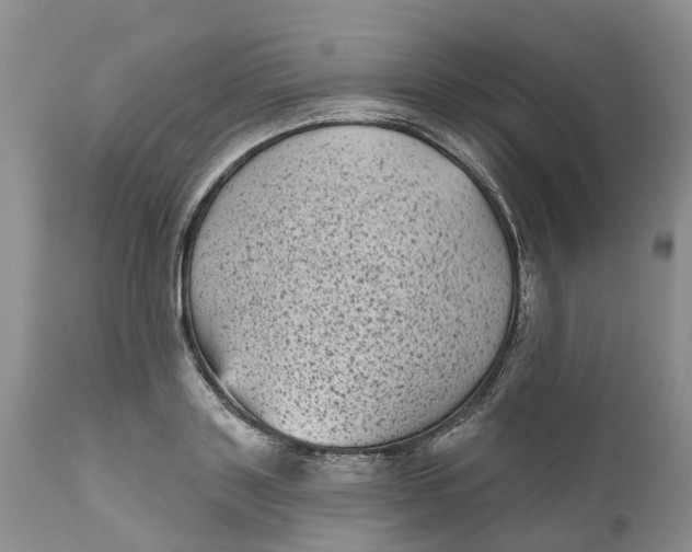 X0000111050843200907091632