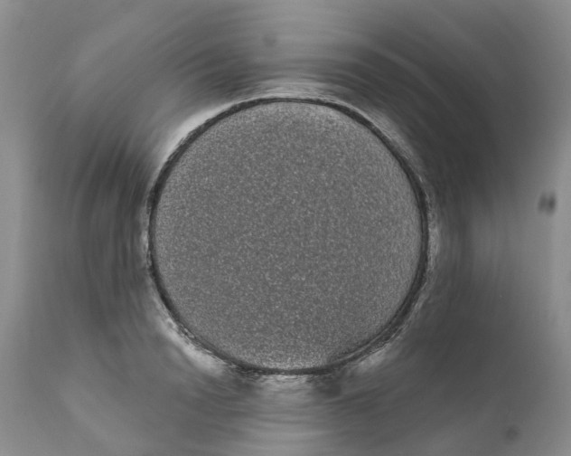 X0000111050846200907091632