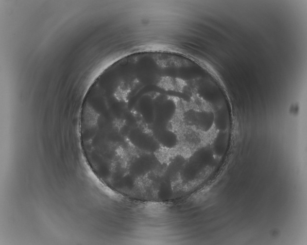 X0000111050847200907091632