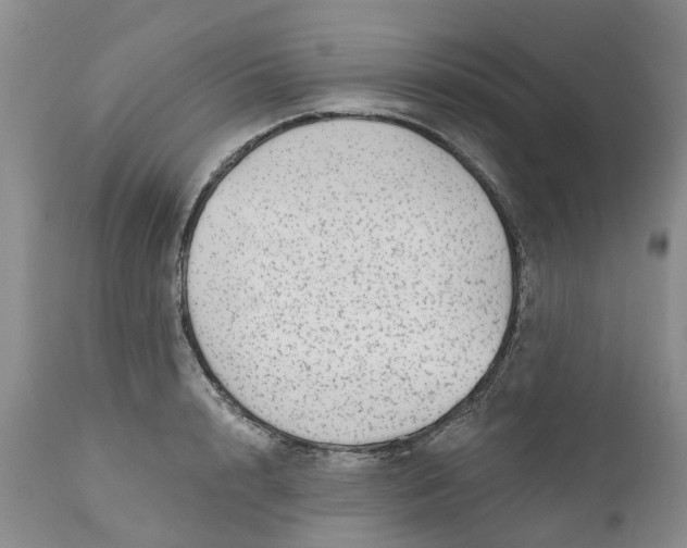 X0000111050848200907091632