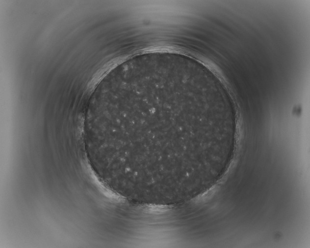 X0000111050849200907091632