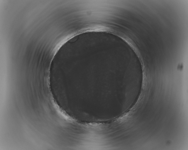 X0000111050850200907091632