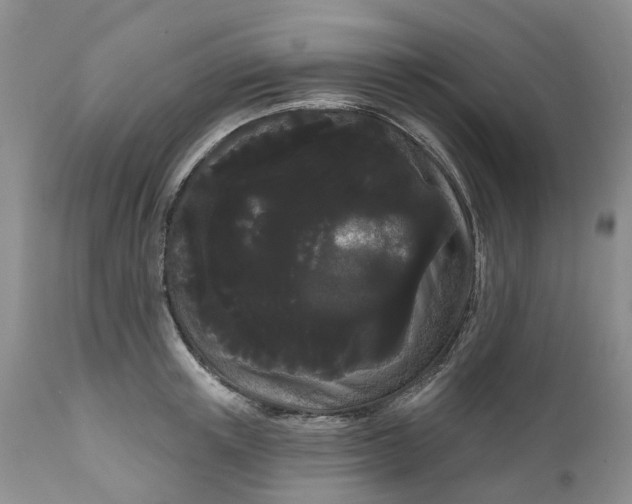 X0000111050851200907091632