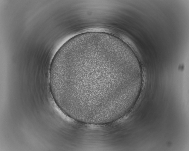 X0000111050852200907091632