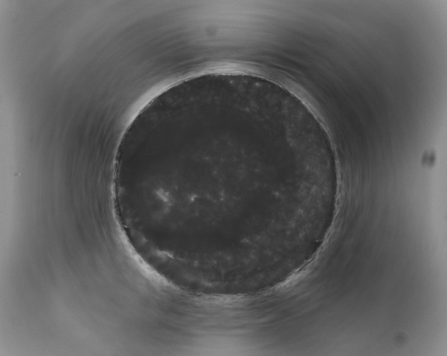 X0000111050853200907091632