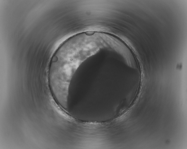 X0000111050854200907091632