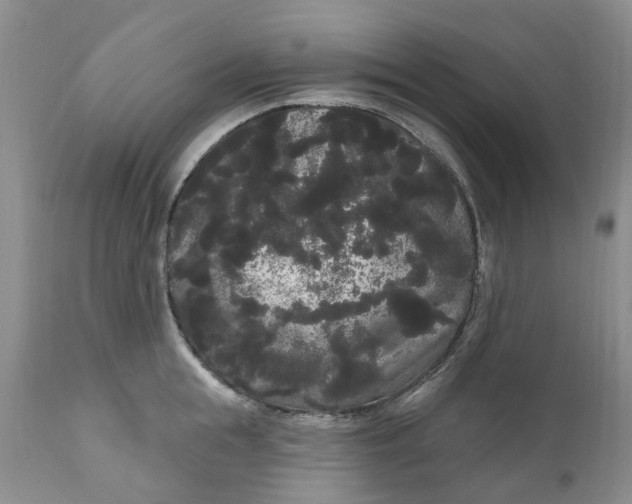 X0000111050855200907091632