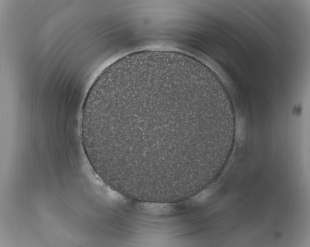 X0000111050856200907091632