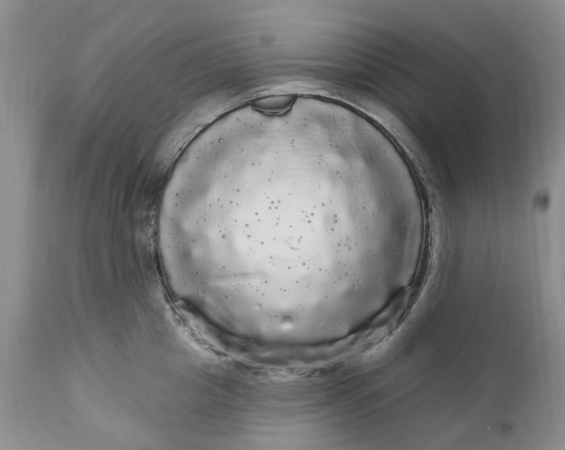 X0000111050857200907091632