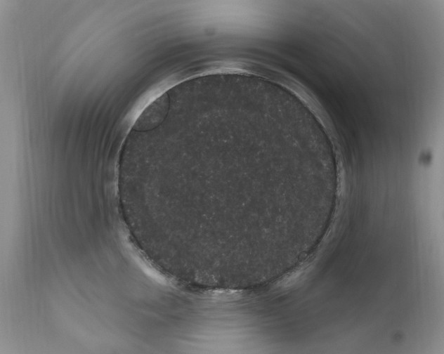 X0000111050858200907091632