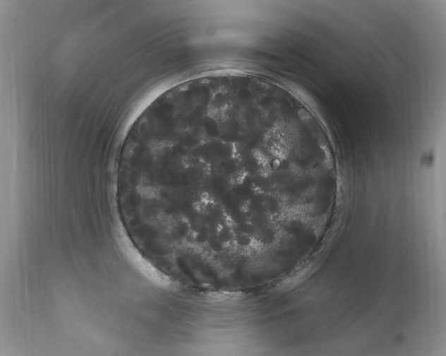 X0000111050859200907091632