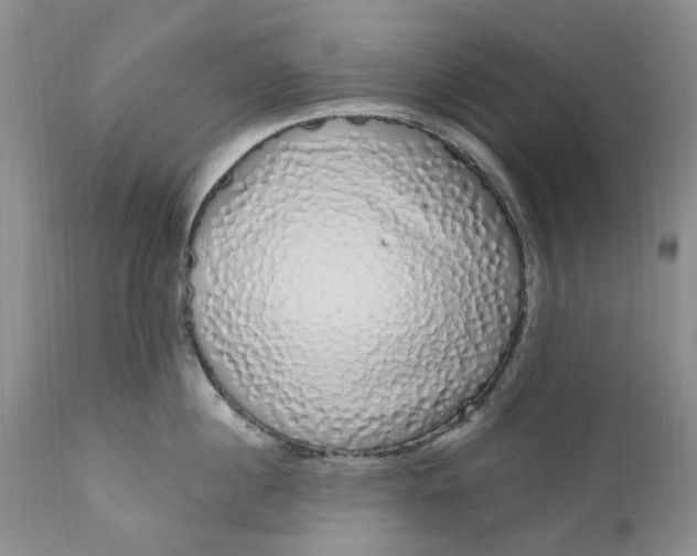 X0000111050860200907091632