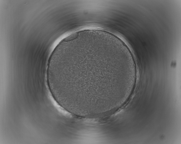 X0000111050861200907091632