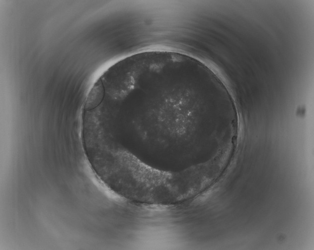 X0000111050862200907091632