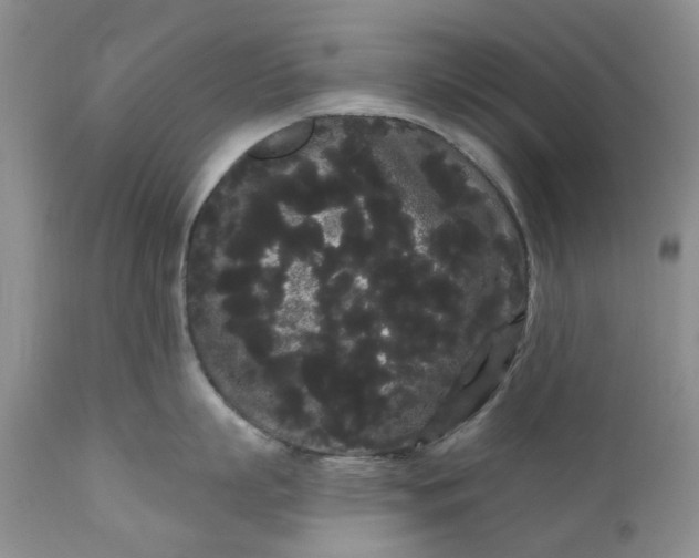 X0000111050863200907091632