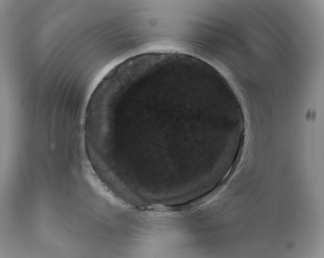 X0000111050864200907091632