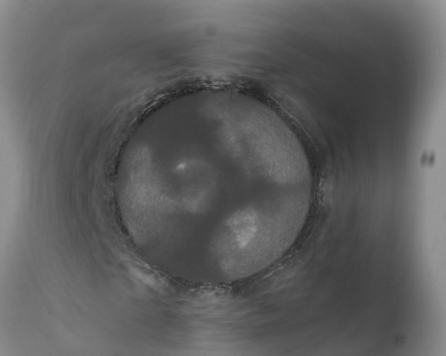 X0000111050865200907091631