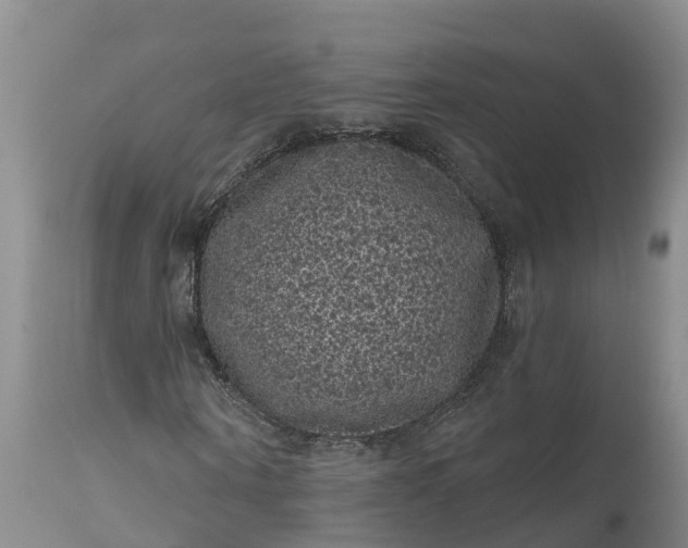 X0000111050866200907091631