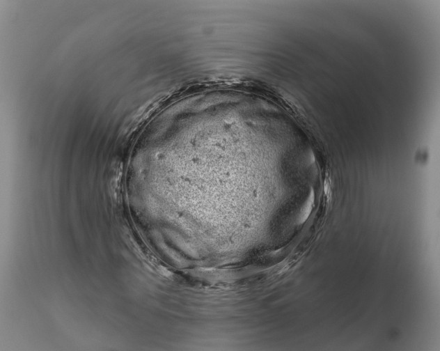 X0000111050867200907091631