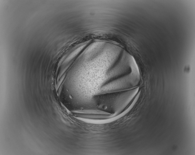 X0000111050868200907091631