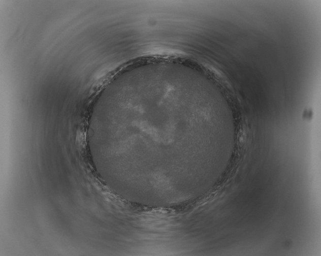 X0000111050869200907091631