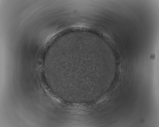 X0000111050870200907091631