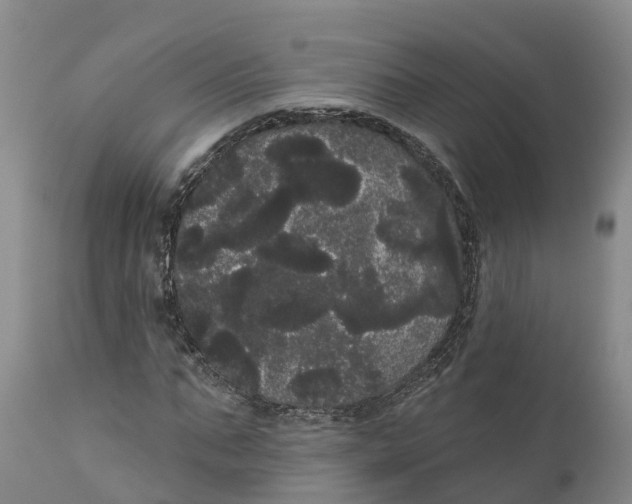 X0000111050871200907091631