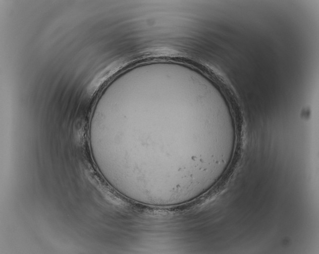 X0000111050873200907091631