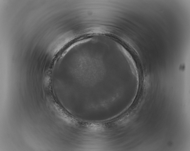 X0000111050874200907091631