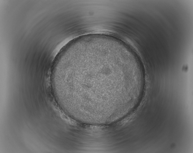 X0000111050875200907091631