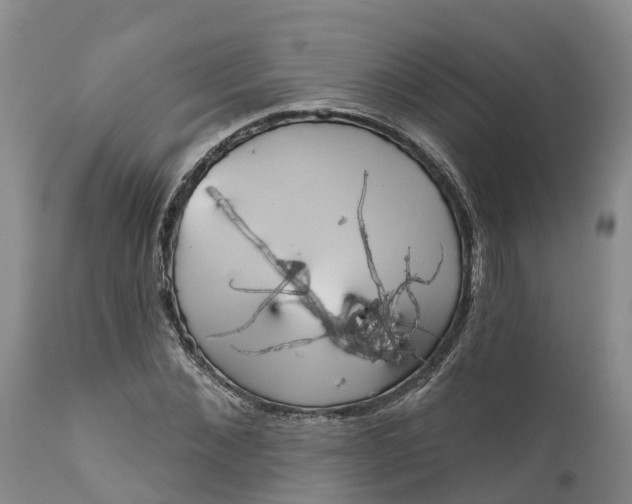 X0000111050876200907091631