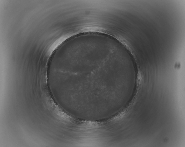 X0000111050877200907091631