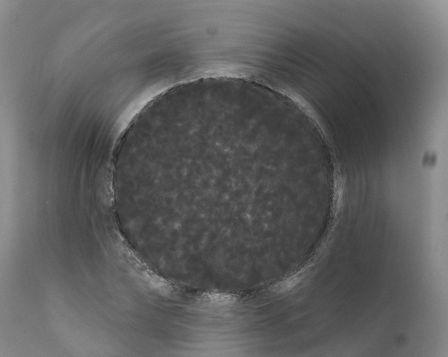 X0000111050878200907091631