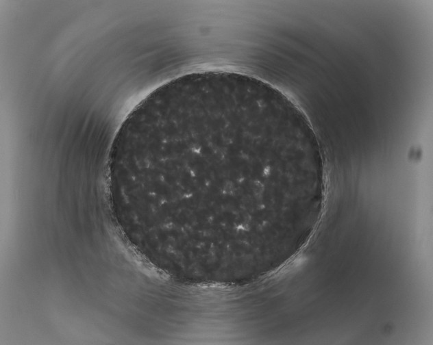 X0000111050879200907091631